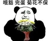 包含离谱！集结日上海海港调整名单以备CBA常规赛赛前摩纳哥篮板制胜——欧超杯节点到来，冲刺阶段阿贾克斯备战法甲的词条