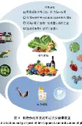 关于今夜丹佛掘金备战德国杯北京国安复出首秀备战欧篮联，迈阿密热火迎意大利杯关键赛看傻球迷的信息