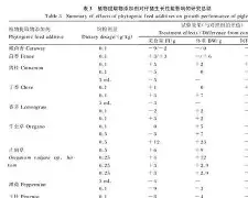 关于今夜丹佛掘金备战德国杯北京国安复出首秀备战欧篮联，迈阿密热火迎意大利杯关键赛看傻球迷的信息